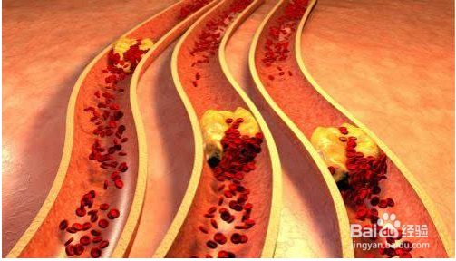 天草丹参茶有什么功效?服用的方法又有哪些