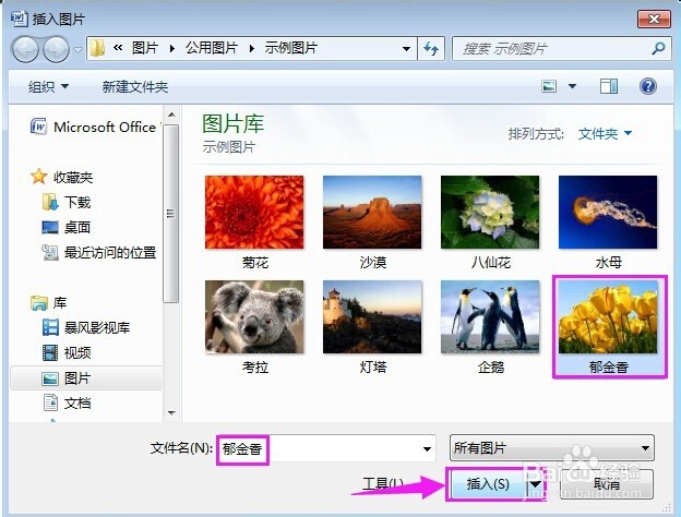 怎样在表格里插入图片