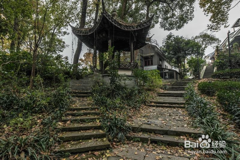 诗画浙江畅游杭州攻略3