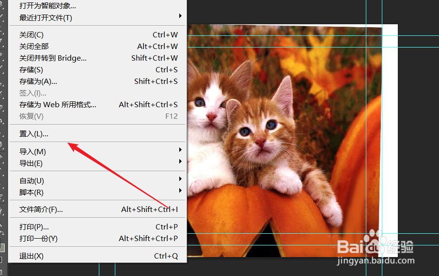 pscs6在哪里可以找到并打开时间轴