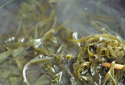 凉拌海带丝（美食营养）