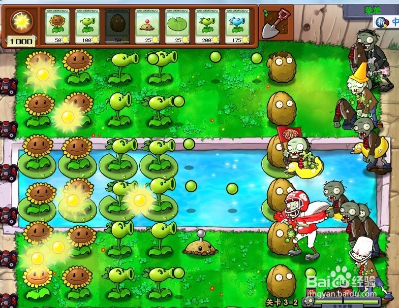 植物大战僵尸简单开局(有水池)攻略