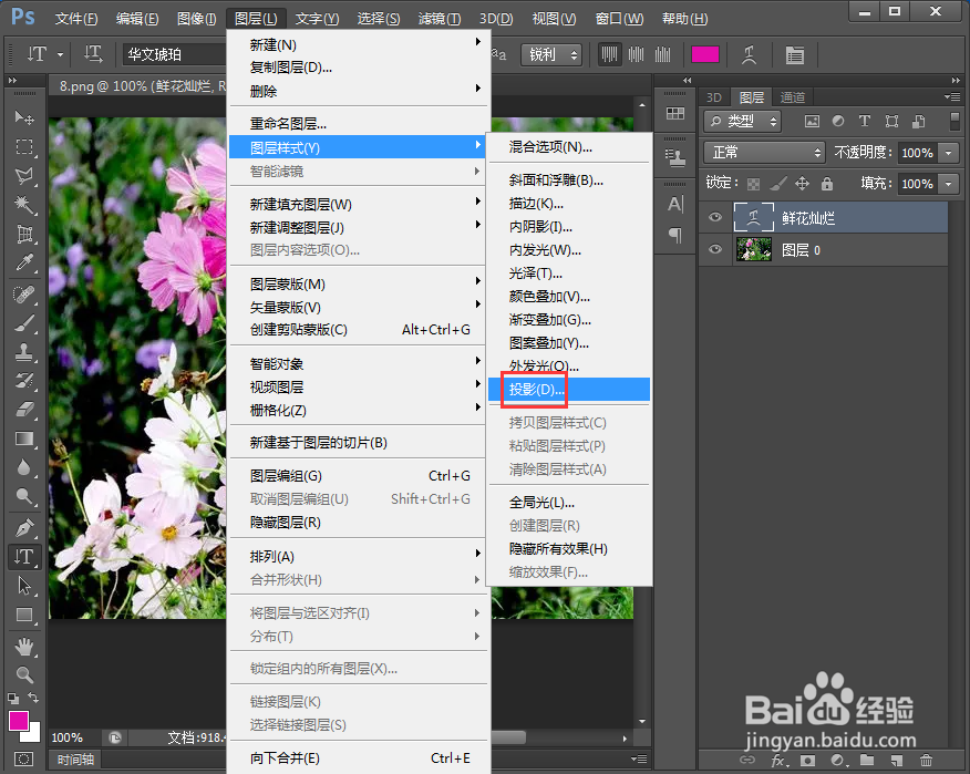 在ps中给文字添加鱼形 和投影样式
