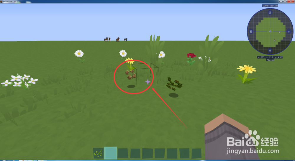 我的世界甜菜怎么获得和种植