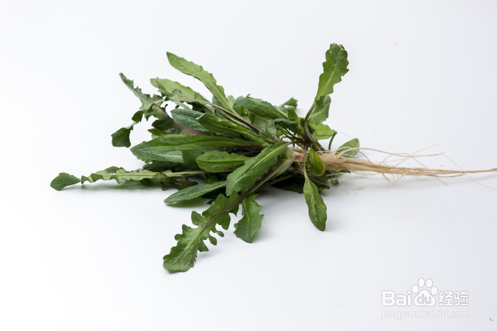 哪些食物可以保护孩子的视力