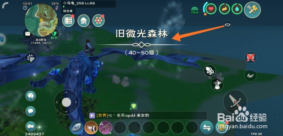 创造与魔法旧微光森林在哪里