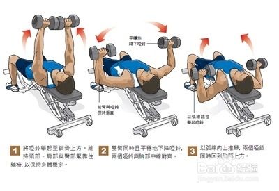 怎样用哑铃练胸肌(收藏版)