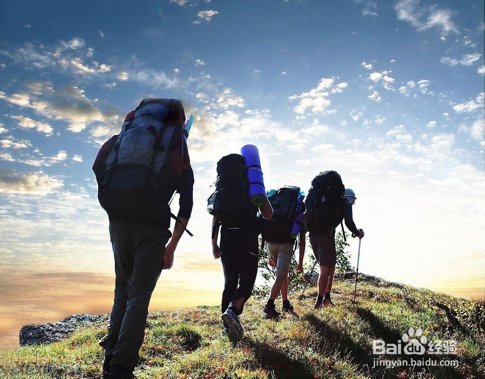 如何做一名优秀的小学教师