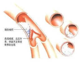 你所不知道的关于蒜的秘密