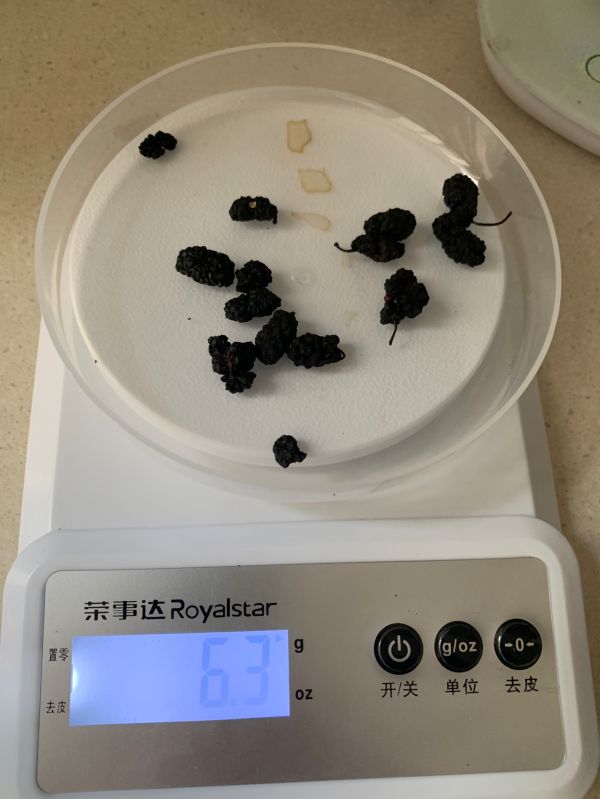 黄精玛咖桑葚汤