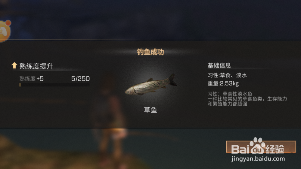 《明日之后》秋日森林九纹龙朋友浩澜和钓鱼任务