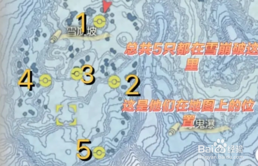 宝可梦传说阿尔宙斯冰六尾位置大全