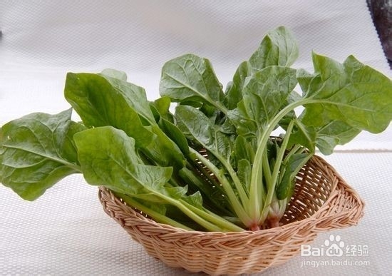 常吃菠菜对人体有啥好处