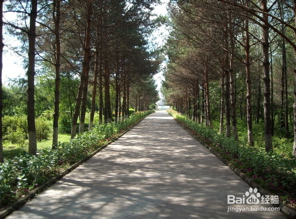 过田园式生活攻略