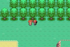 口袋妖怪圣灰攻略图片5