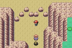 口袋妖怪圣灰攻略图片5