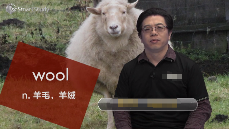 wool是什么意思