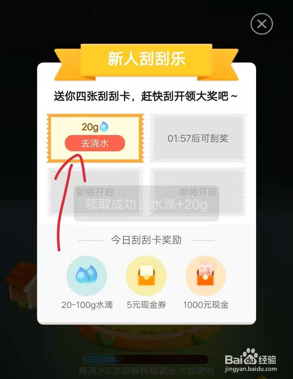 拼多多果园为什么不能偷朋友的水多多果园种树