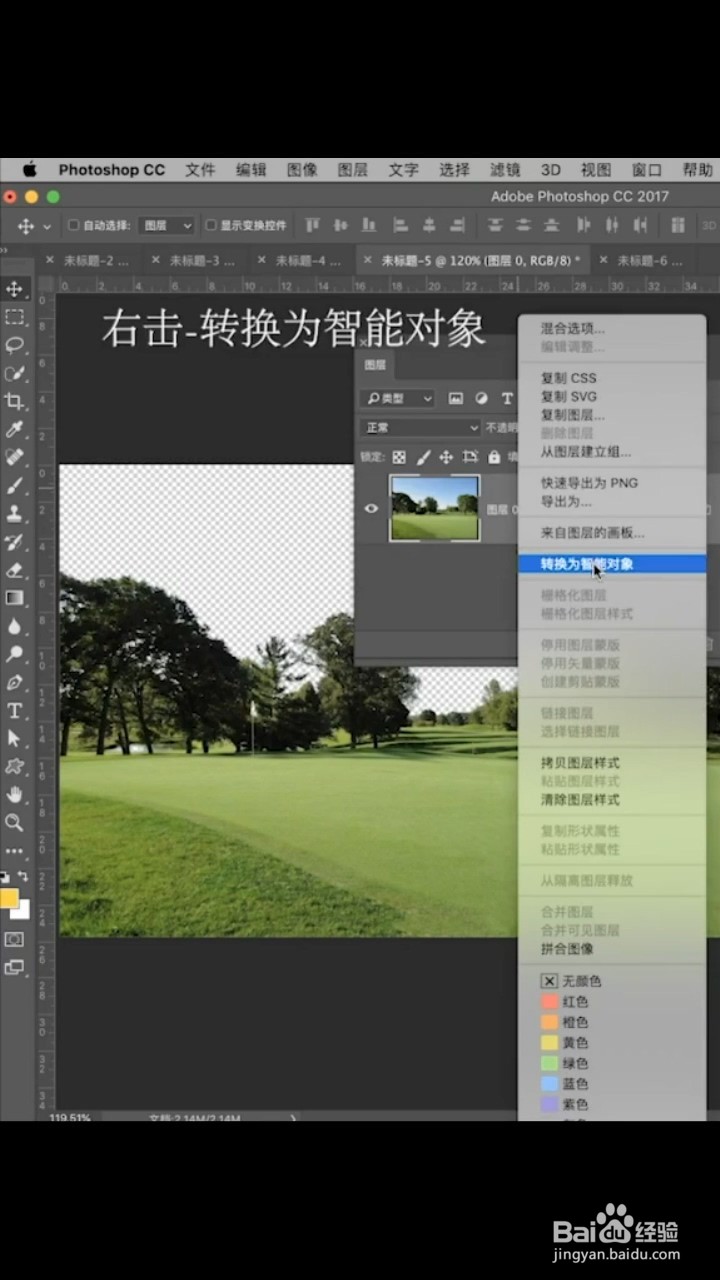 如何抠取复杂树林下的天空