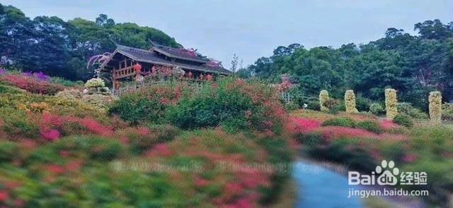 厦门梅海岭景区