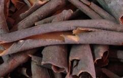 吃肉桂中毒怎么办