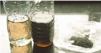 黑芝麻真假鉴别