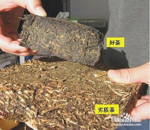 如何选购茶叶