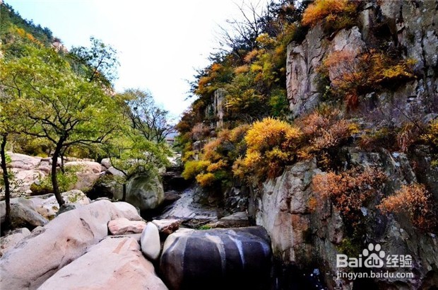 青岛最美地铁11号线+奥帆中心帆船体验一日游