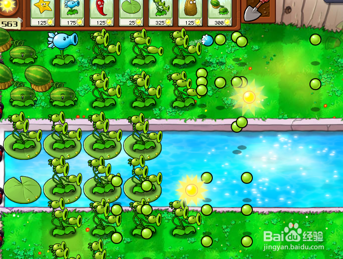 怎么在电脑玩植物大战僵尸