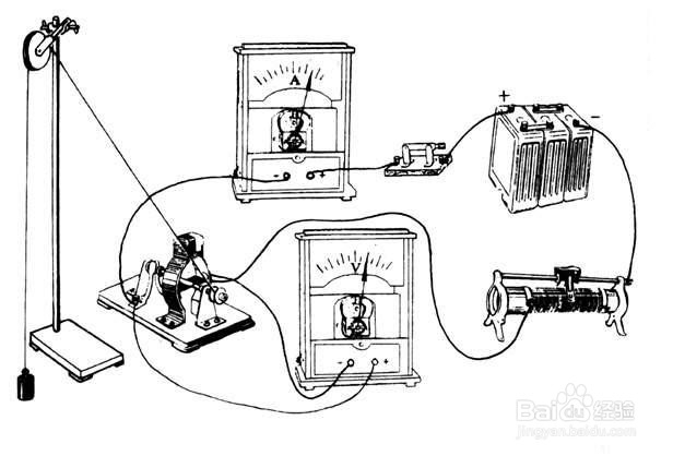 初中能量复习思维导图