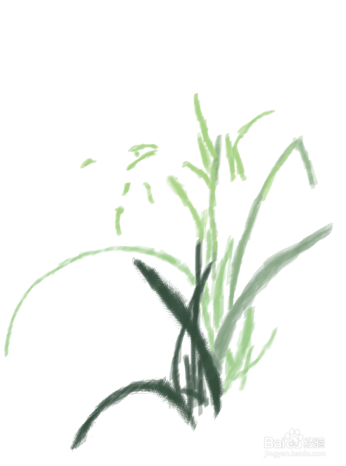 怎样画兰草好看