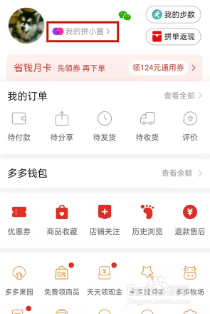 拼多多如何查看勋章墙