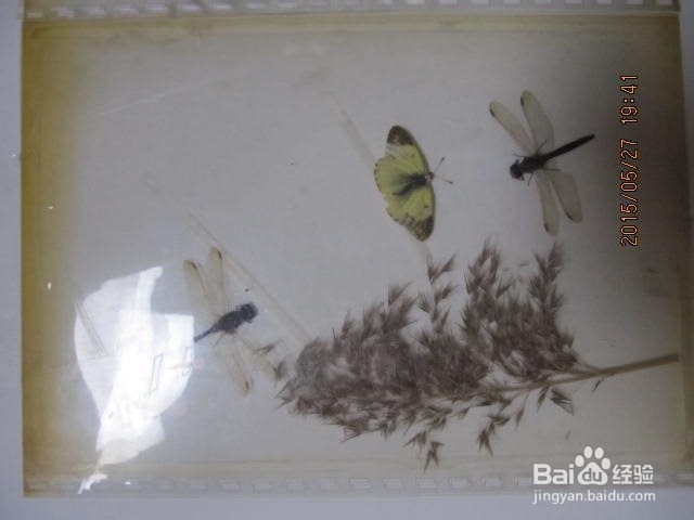 美家 装饰画1