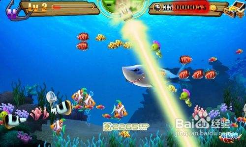 小鱼快跑-捕鱼达人游戏攻略