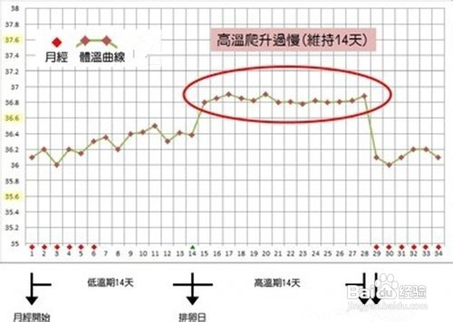 怎样用基础体温监测排卵？