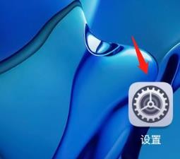 手机中什么地方可以查看到HMS Core功能说明
