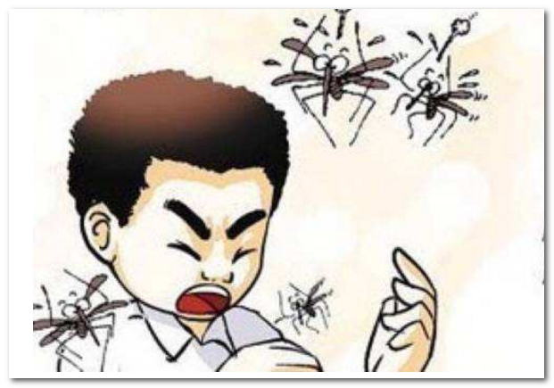 家里放什么东西可以驱蚊