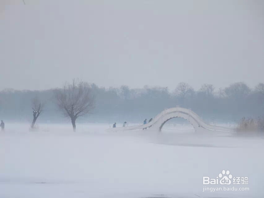 如何拍出更有意境和美感的照片