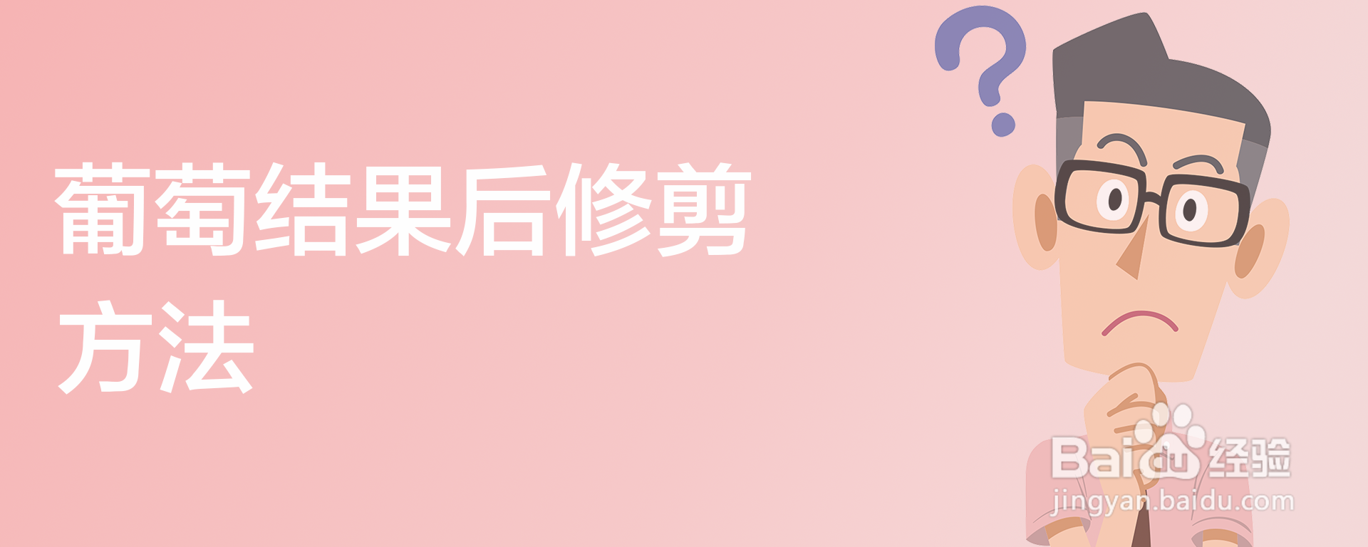 葡萄结果后修剪方法