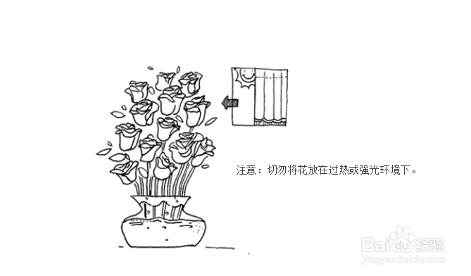 roseonly永生花养护