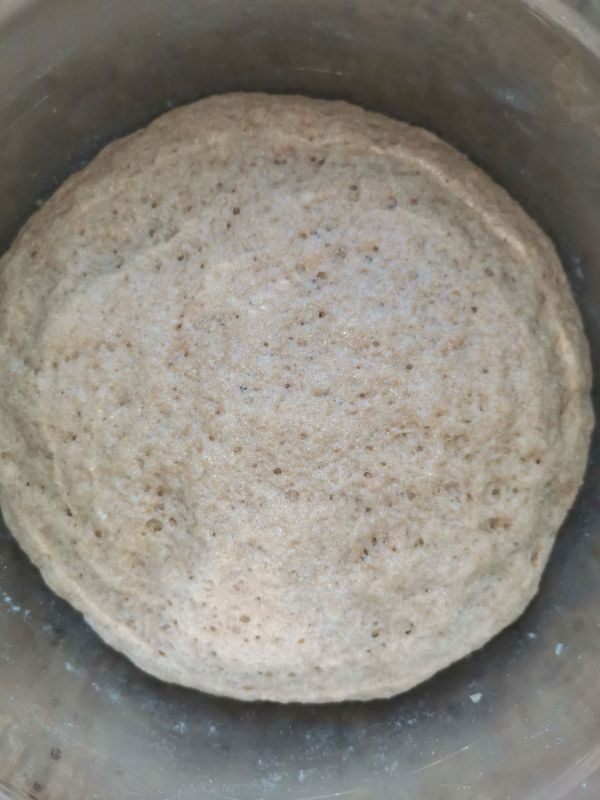 无油代糖全麦列巴