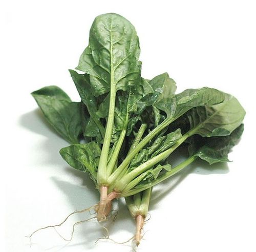 对男人有益的常见食物