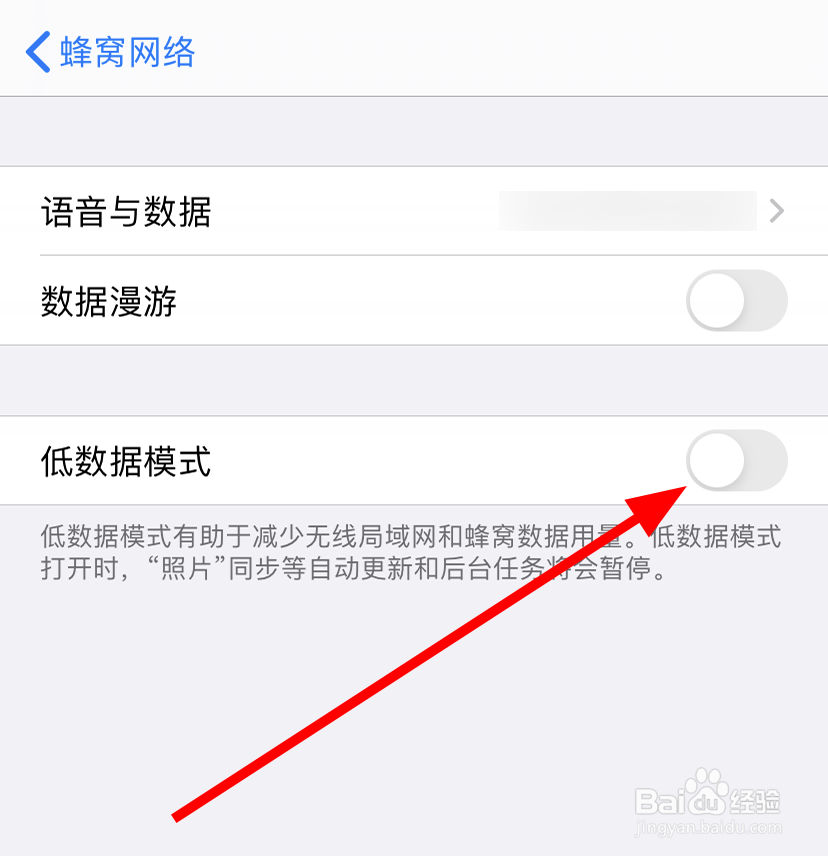 苹果/iPhone11怎么打开低数据模式