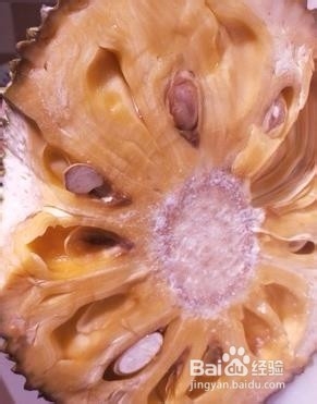 菠萝蜜吃不完怎么保存