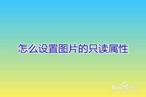 怎么设置图片的只读属性