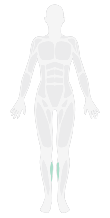 仰卧右腿后侧动态拉伸_跑步膝预防