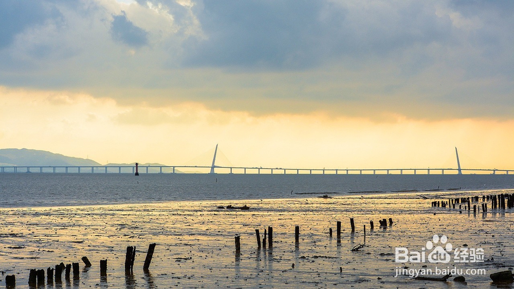 深圳红树林深度游攻略