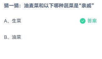 油麦菜和以下哪种蔬菜是