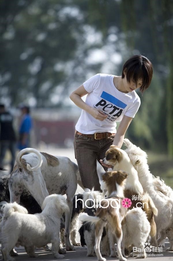 怎样哄你家生病的小狗狗主动吃