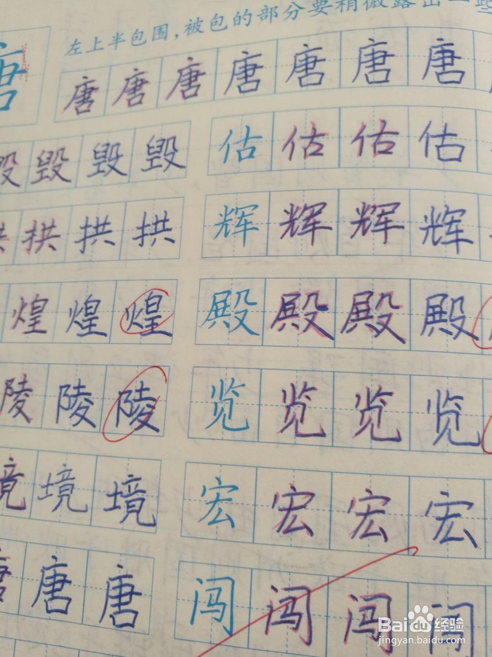 小学生怎样才能练好字